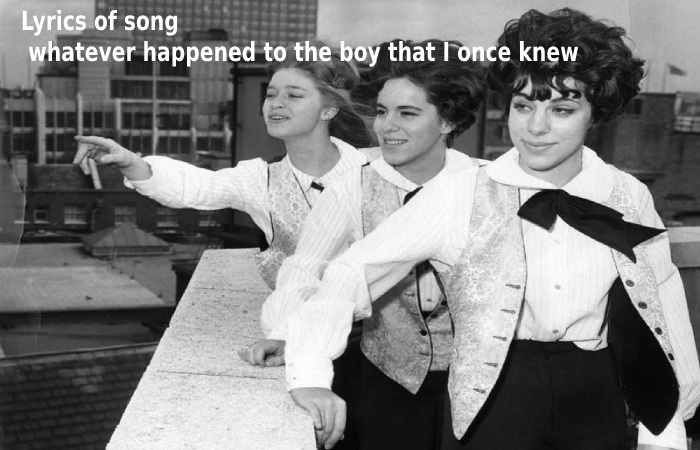 Lyrics of song whatever happened to the boy that I once knew