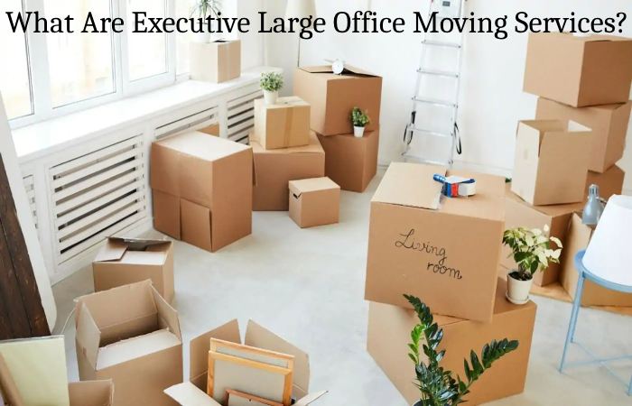 What Are Executive Large Office Moving Services_