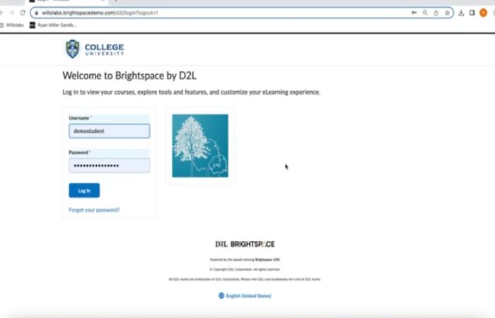 How do I set up Follett ACCESS in D2L Brightspace_