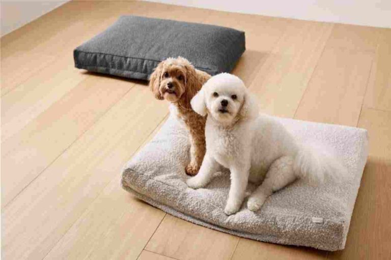 Dog Bed