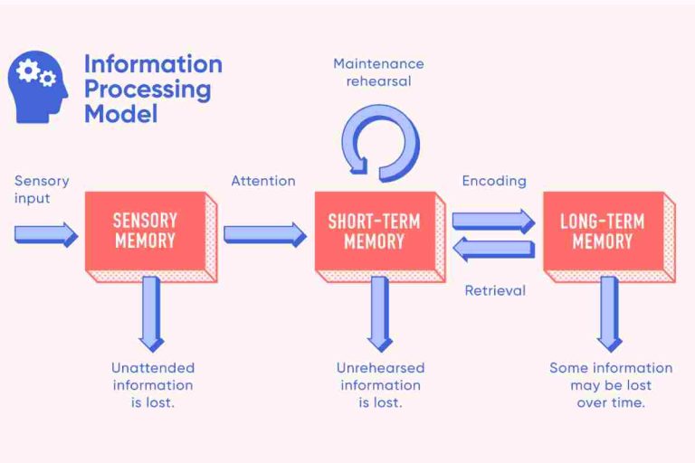 Information Process